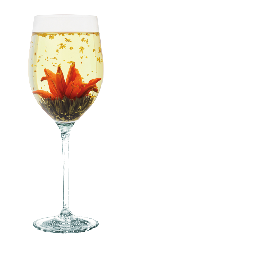 Flora Tea Aromatique Mayflower