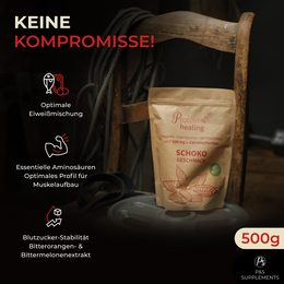 P&S SUPPLEMENTS veganes Pulver Schoko 500g