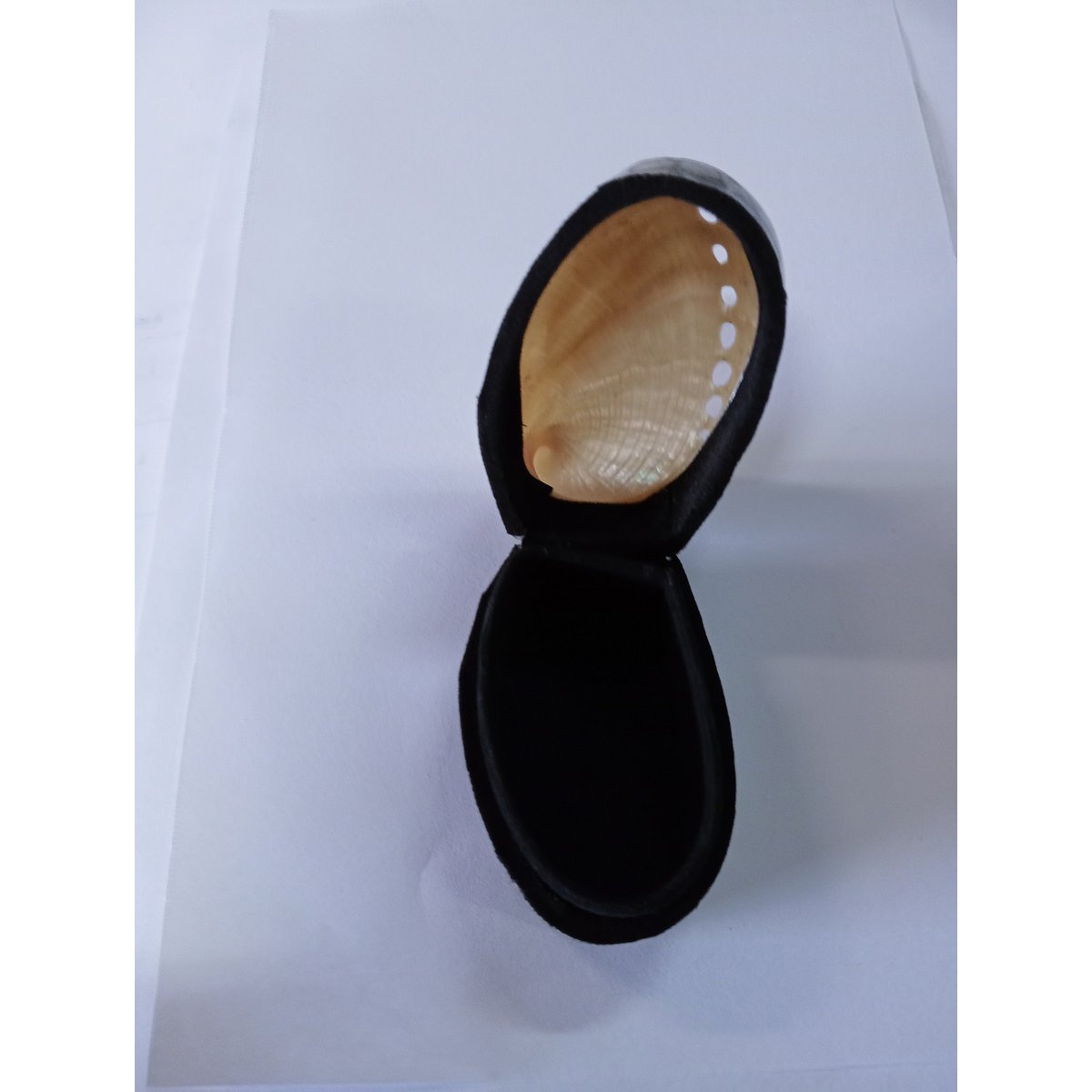 Ringbox Abalone Pillbox zęby