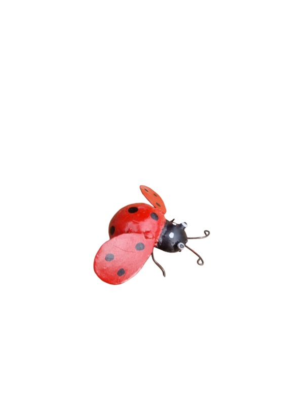 Zimba-Arts METAL RED SMALL LADY BIRD
