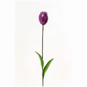 METAL PURPLE TULIP
