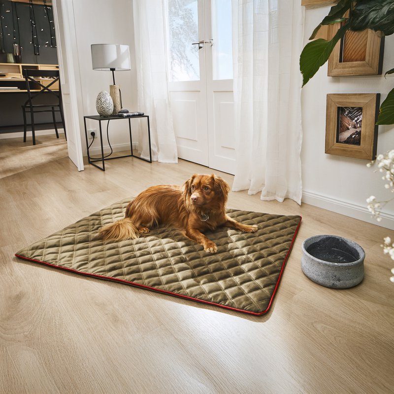 OXFORD fløjlstæppe til hunde