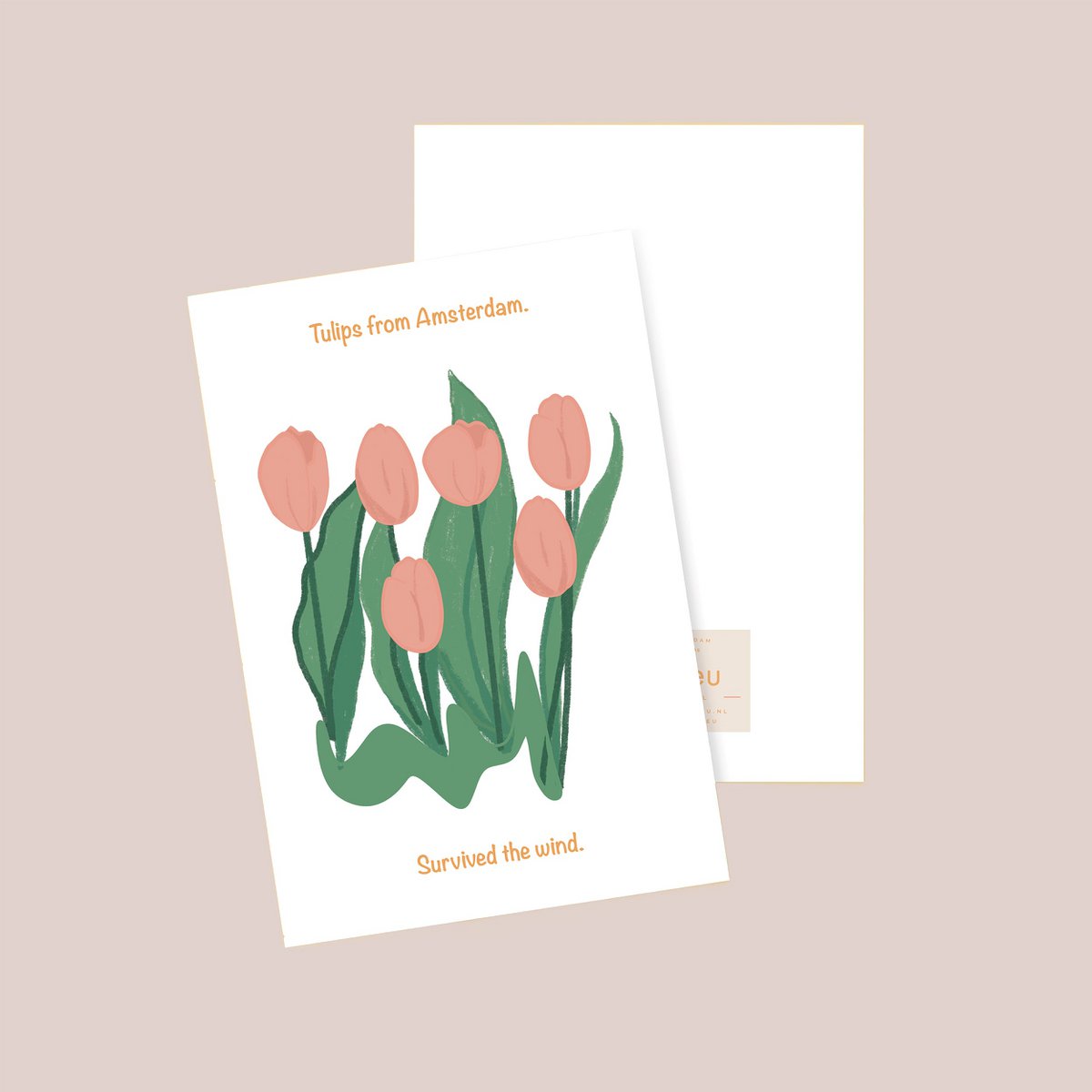 Tulipaner fra Amsterdam Postkort