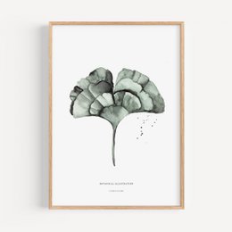 Art print - Ginkgo Leaf