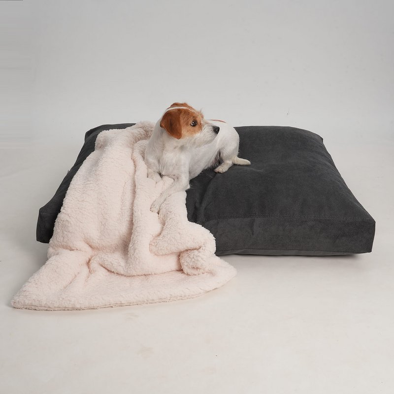 Hundekissen Madison graphit