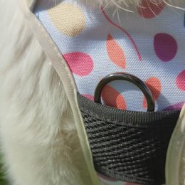 Petal Y Comfort Harness