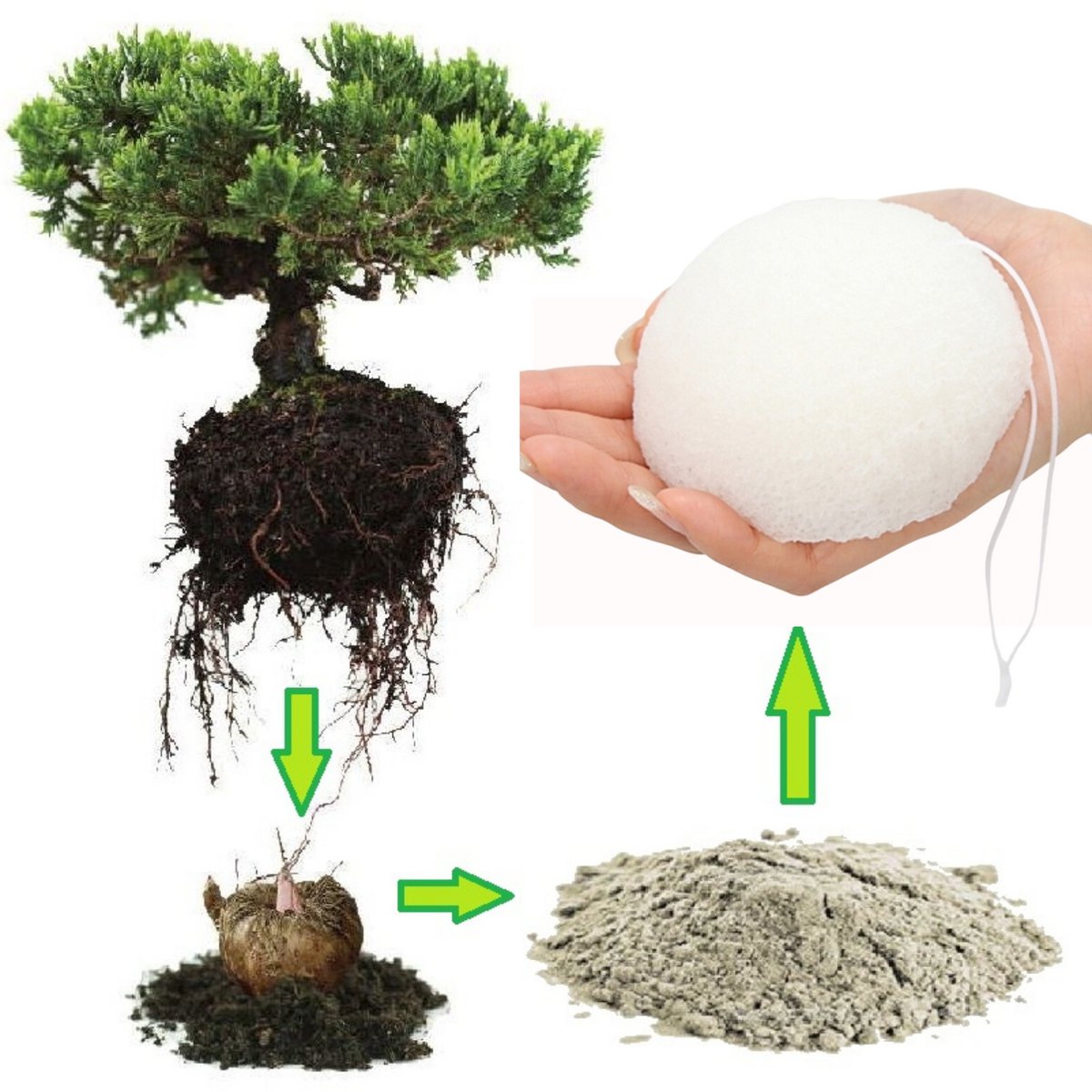 Natural Konjac Sponge Special Eyes Nature