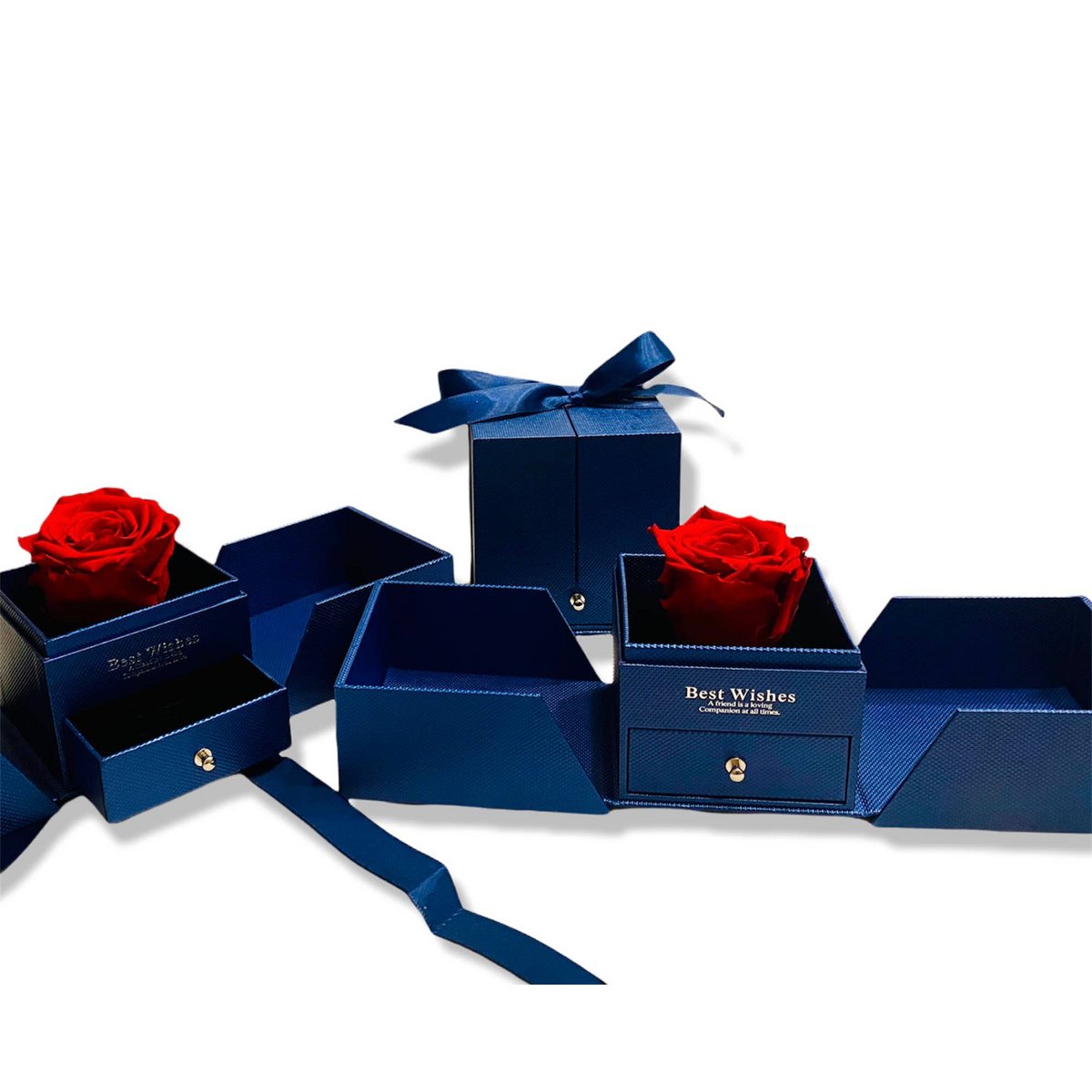 Rosa Stabilizzata Rossa in scatola Box portagioie Blu