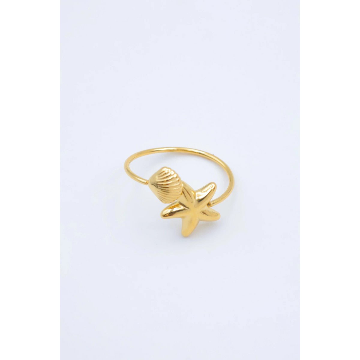 RVS ringen