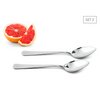 Grapefruit spoon set made of stainless steel