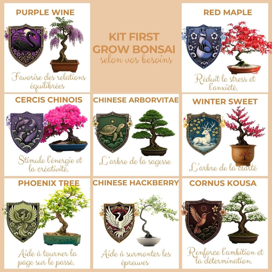 Cultivea - Kit First Bonsai - Kit de première culture de bonsaï avec accessoires | Idée cadeau Originale