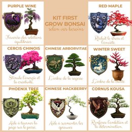 Kultiviert - First Bonsai Kit - First Bonsai Culture Kit mit Accessoires | Originalgeschenkidee