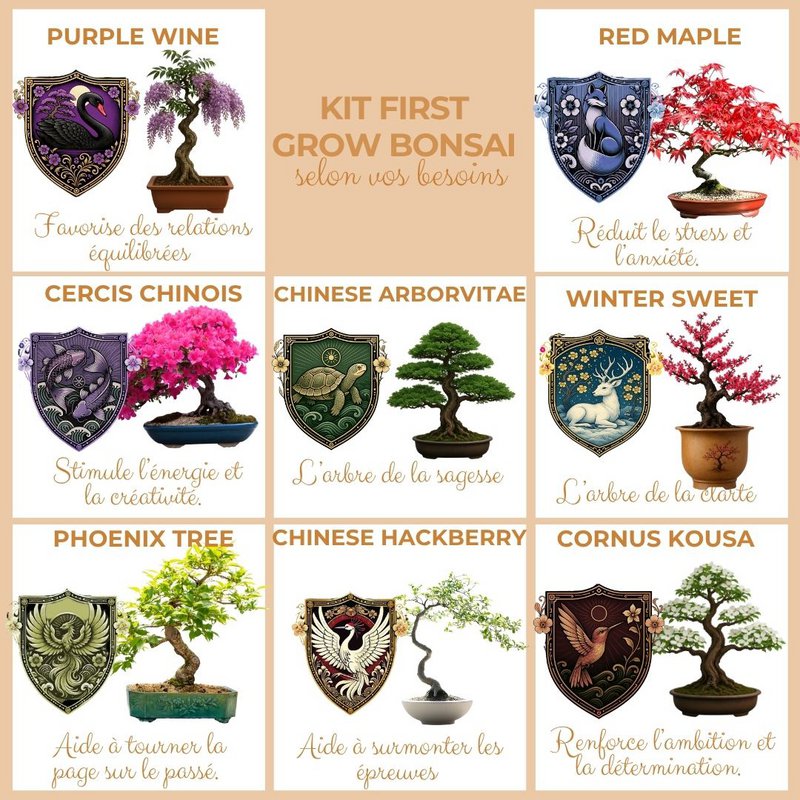 Kultiviert - First Bonsai Kit - First Bonsai Culture Kit mit Accessoires | Originalgeschenkidee