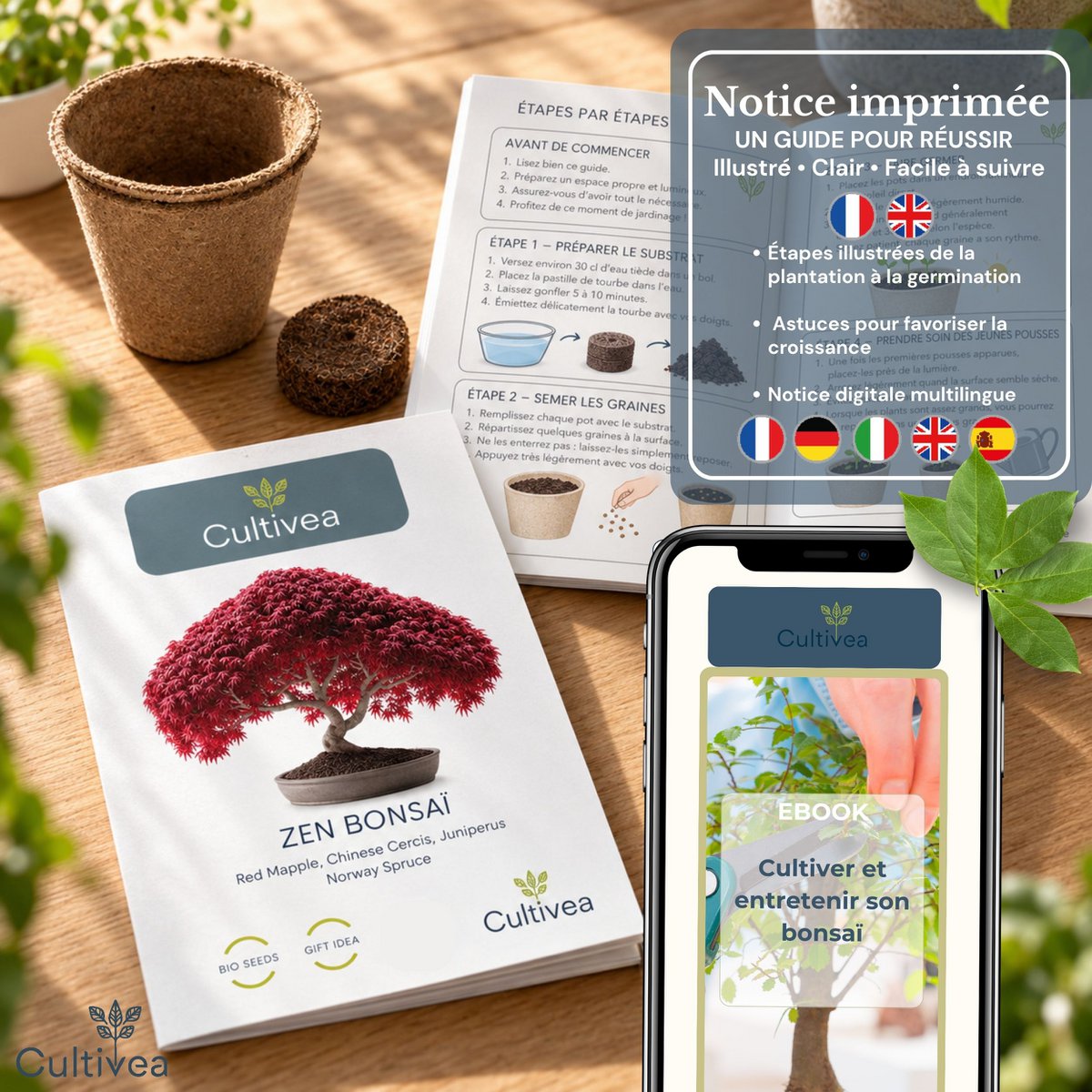 CULTIVEA® Kit Listo para Cultivar 6 Bonsáis - Jardinería y Decoración - Idea de Regalo de Navidad (Arce Rojo, Cercis Chino, Enebro, Liquidambar, Pícea Noruega)
