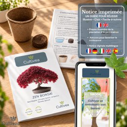 CULTIVEA® Kit Listo para Cultivar 6 Bonsáis - Jardinería y Decoración - Idea de Regalo de Navidad (Arce Rojo, Cercis Chino, Enebro, Liquidambar, Pícea Noruega)