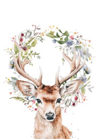 Sustainable card - My deer