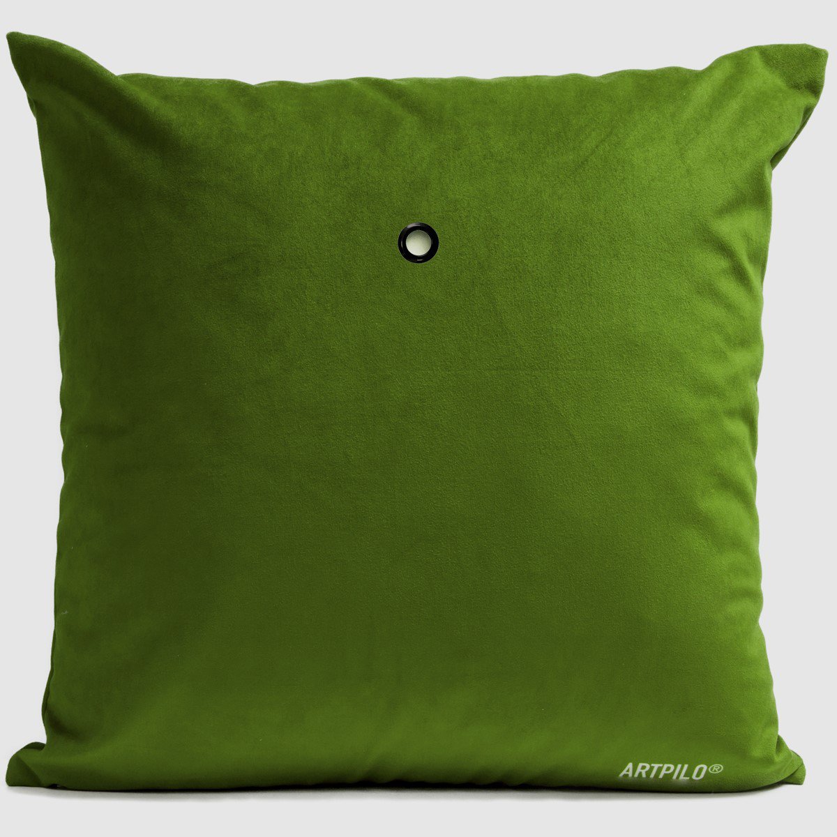 Bird Cushion, Red Parrot