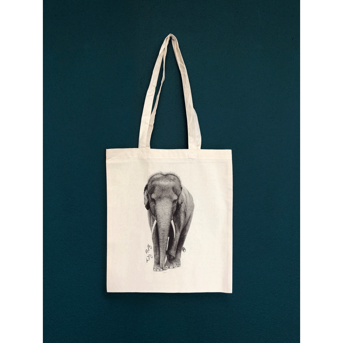 Éléphant d'Asie