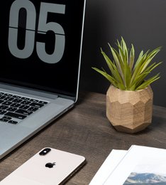 Geometrisk plantekasse