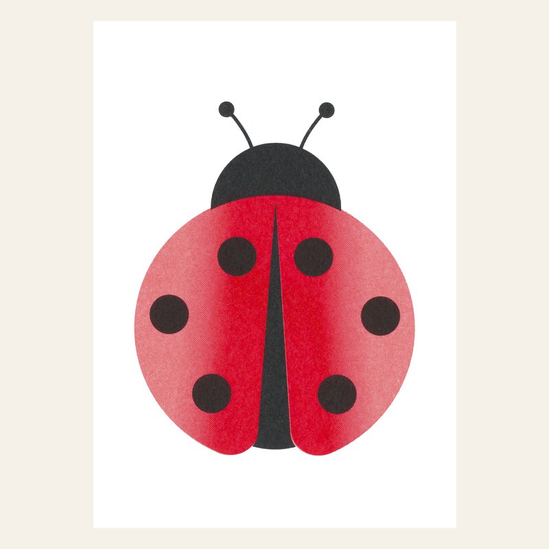 Risography Postcard - Ladybug - DIN A6