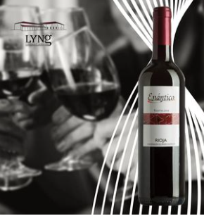 Reserve red wine D.O.Ca. Rioja Enantico