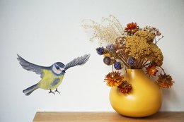 Wall sticker blue tit