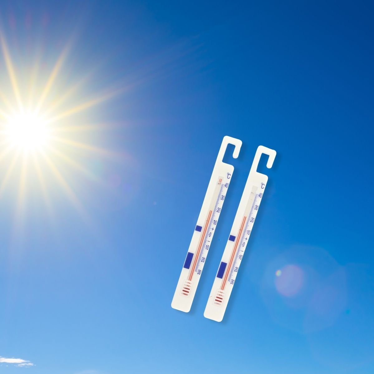 Set van 4 FM Professionele koelkastthermometers
