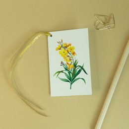 Yellow Wallflower, Gift Tag - Botanical Vintage