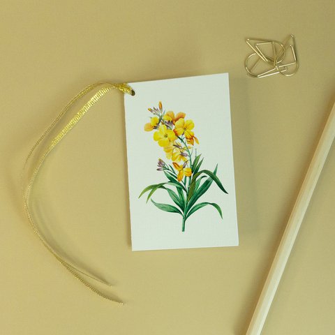 Yellow Wallflower, Gift Tag - Botanical Vintage