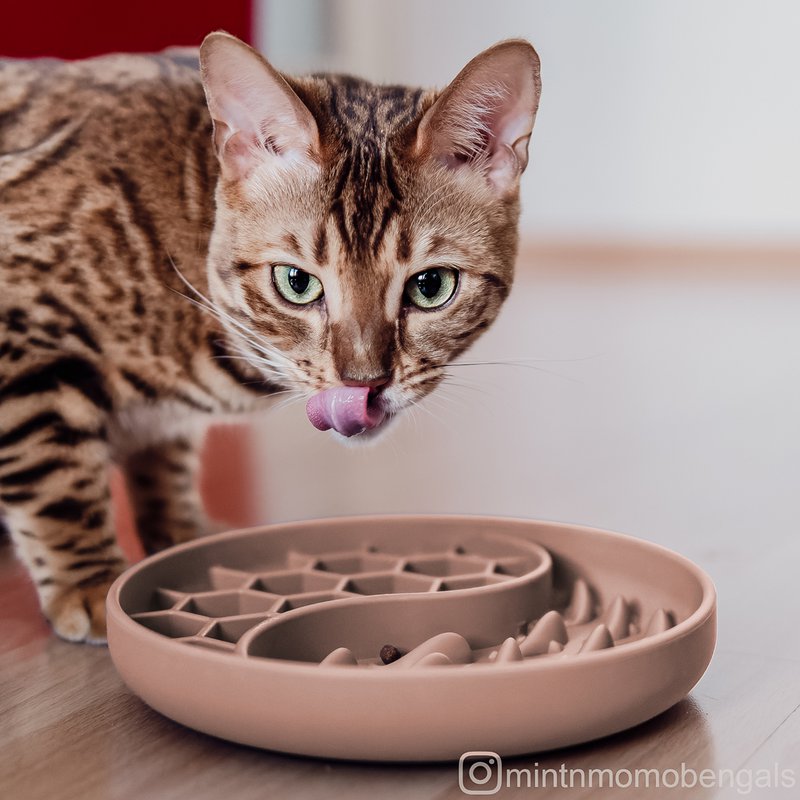 ne&no® anti-sling voerbak voor honden en katten