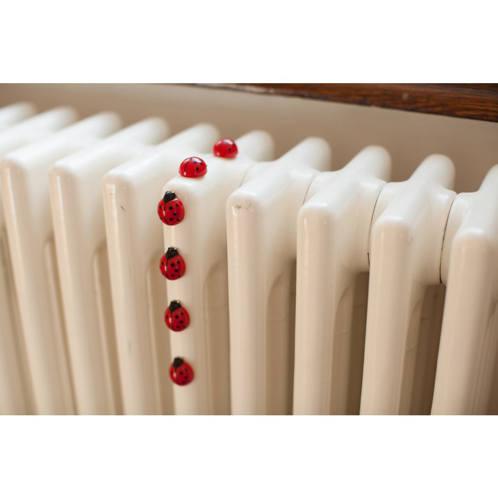 Trendform Magneten Ladybug - Set of 6