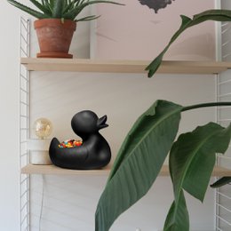 mr. Ugly Duckling Small & Large
