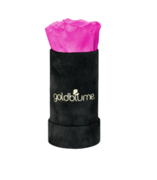 Velvet Black Collection