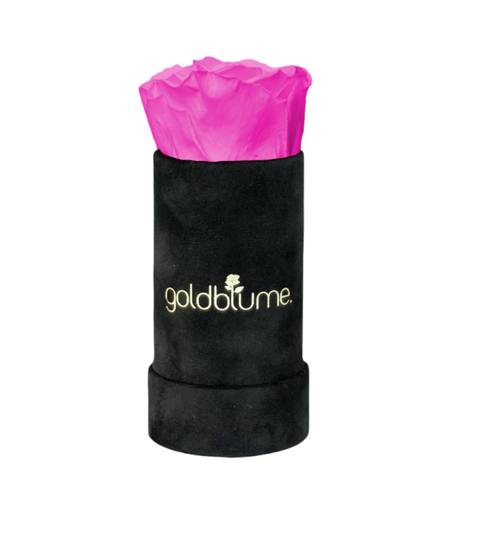 Velvet Black Collection
