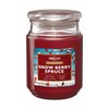 Duftkerze Snow Berry Spruce - 510g