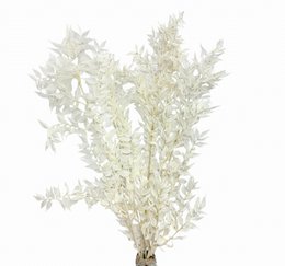 Ruscus Blanqueado 5 tallos