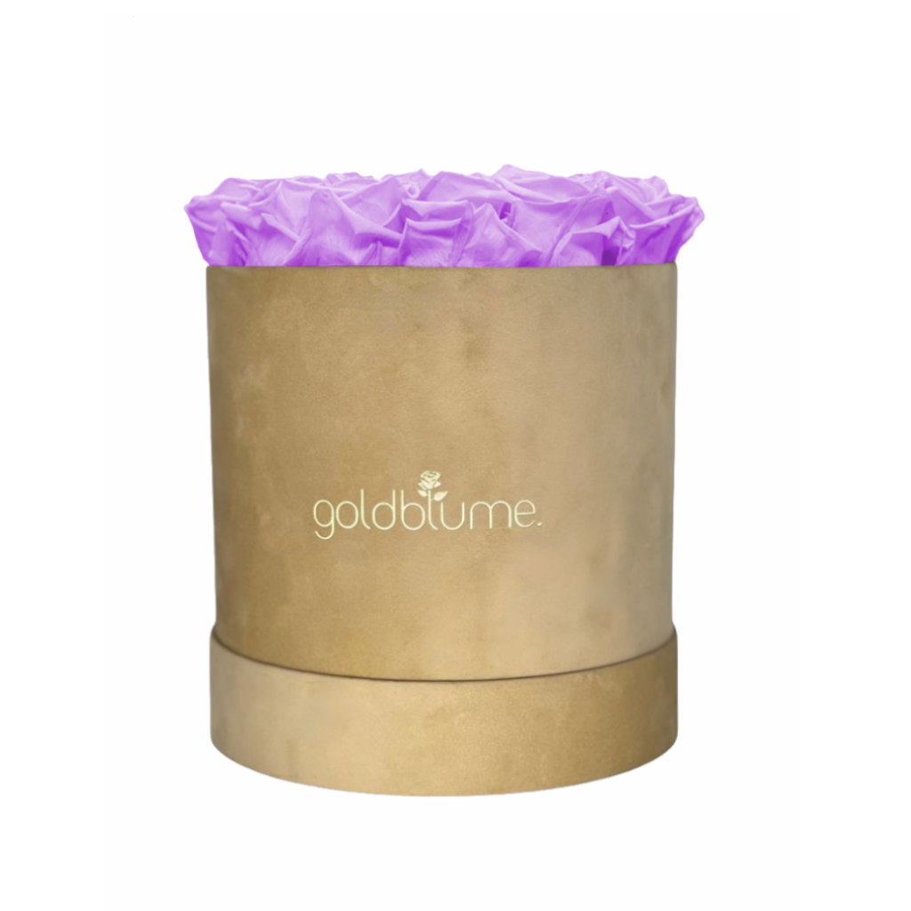Colección Terciopelo Beige