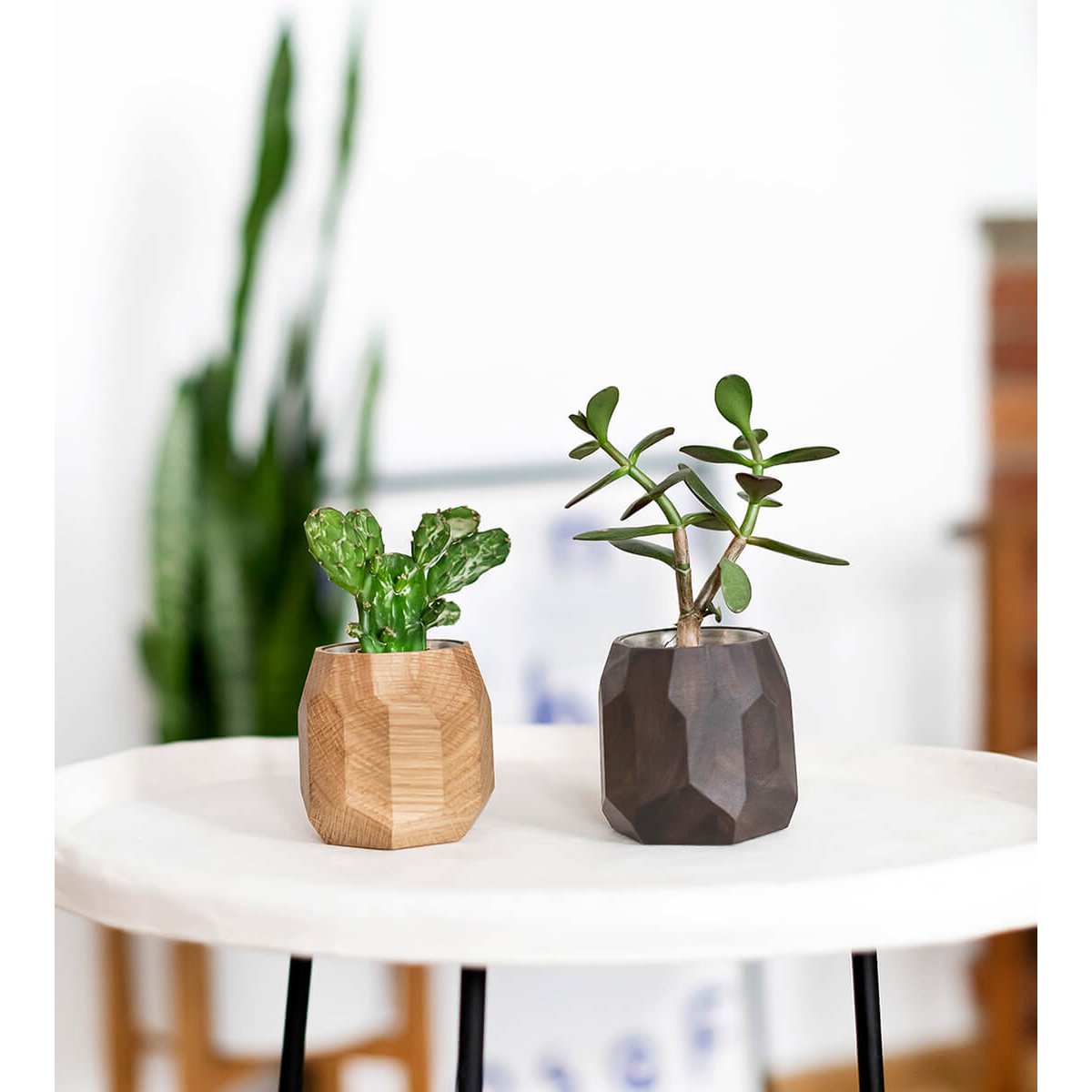 Geometrisk plantekasse