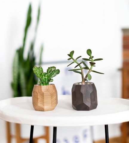 Geometric Planter