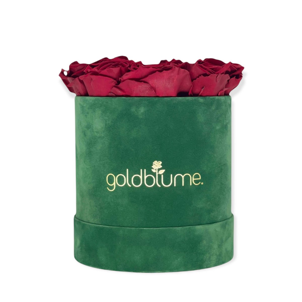 Velvet Green Collection