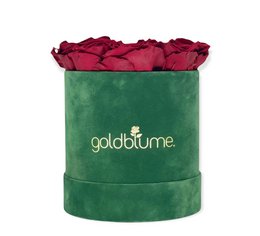 Velvet Green Collection
