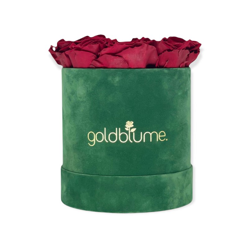 Velvet Green Collection