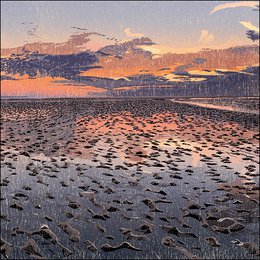 Mapping folder - Siemen Dijkstra, Waddenland