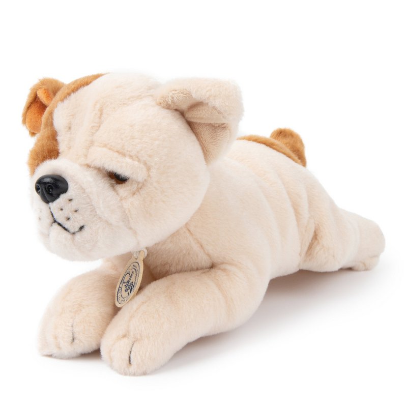 BTC - Bertha la Bulldog Americana en caja de regalo - 20 cm -