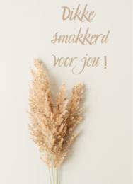 Stort slik til dig!