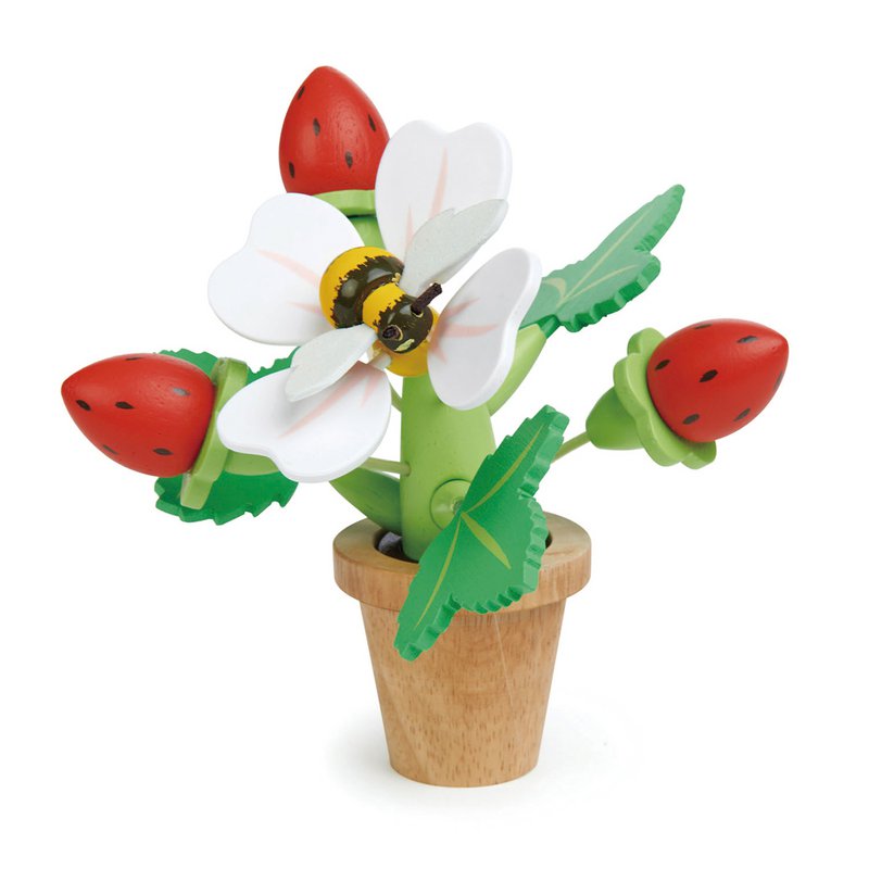 Pot de fleurs avec des fraises
