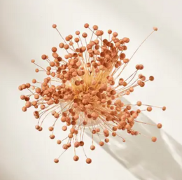 Suszony guzik Pinky