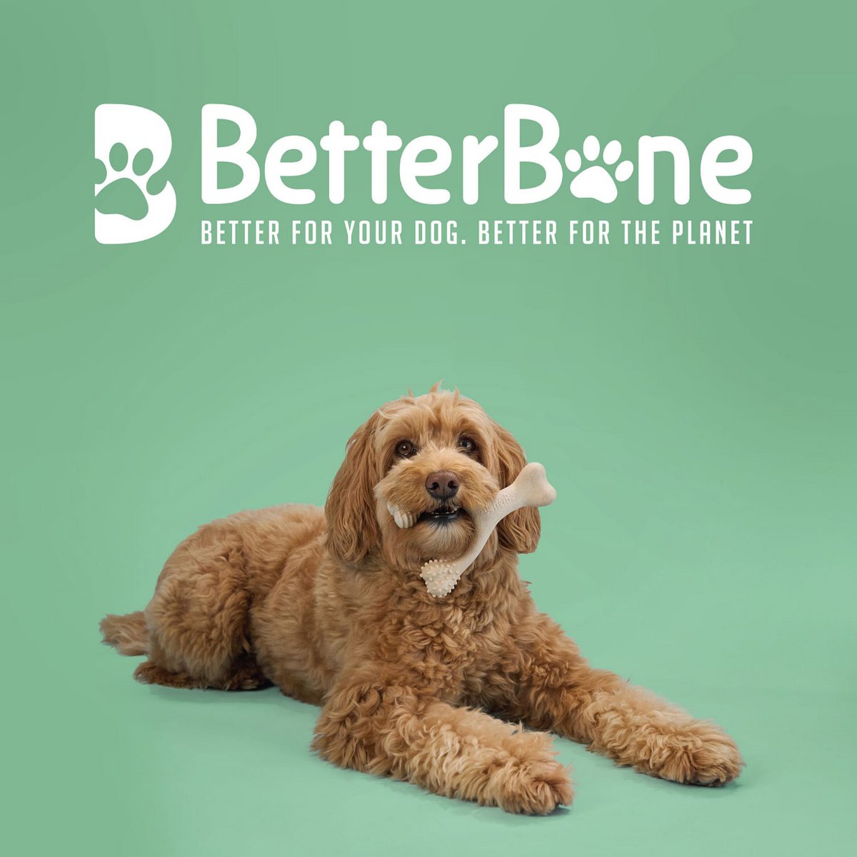 Betterbone Dogs Chewing Bones - Mini Medium Beef (zonder nylon, CO2 neutraal in Europa)