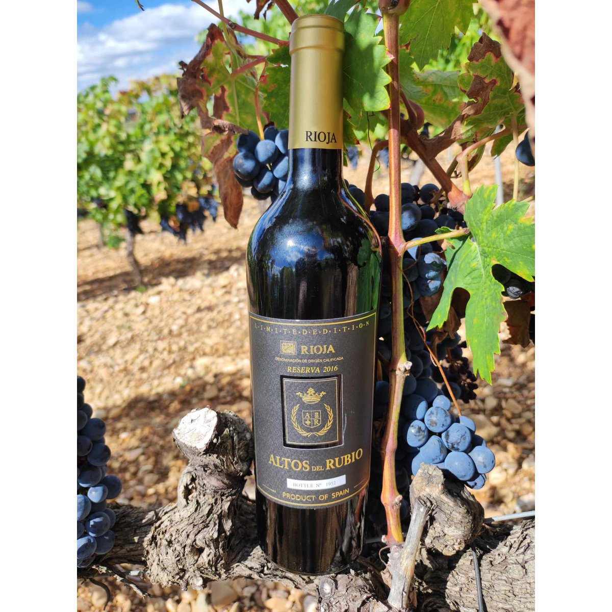 Reserve rødvin D.O.Ca. Rioja Altos del Rubio