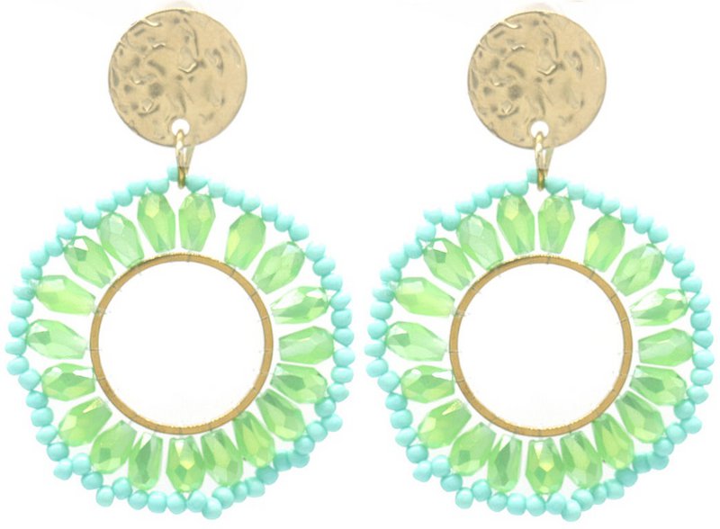 H-A8.2  E221-600-7 S. Steel Earrings 4cm